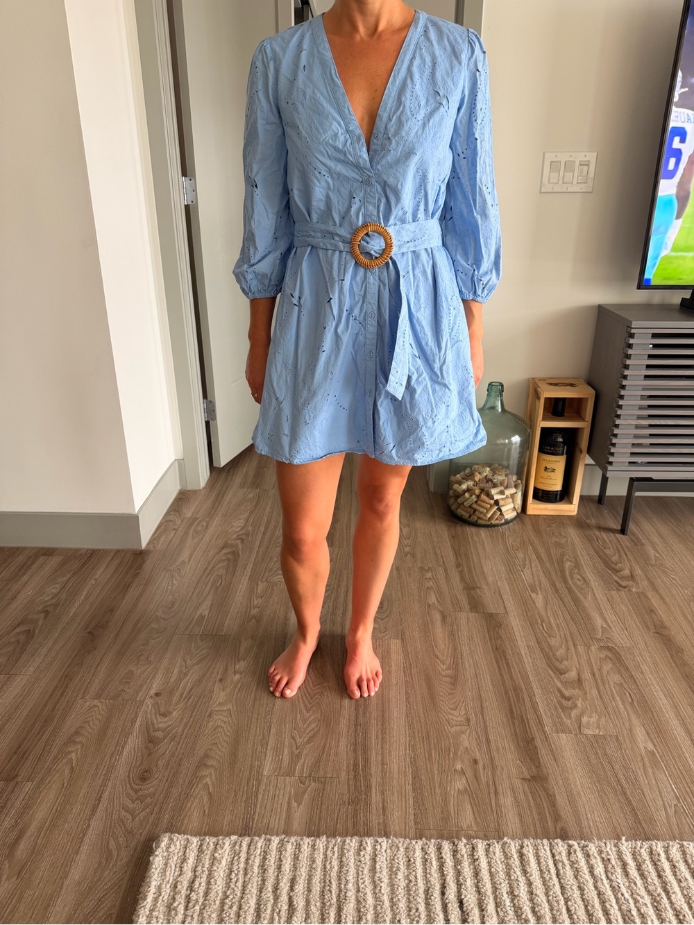 Zara Light Blue V-Neck Eyelet Mini Dress with Waist Ring Tie